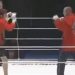 Fedor Emelianenko Shinya Aoki MMA