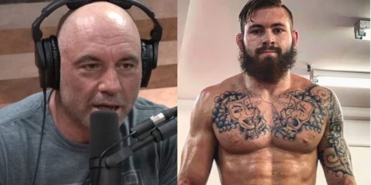 Joe Rogan Gordon Ryan PEDs Success