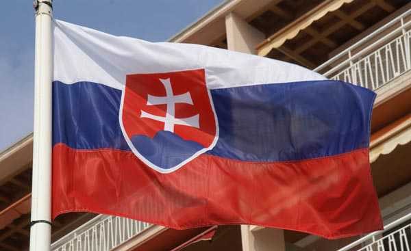 Slovensko ponúka MMA ako možnosť telesnej výchovy na školách