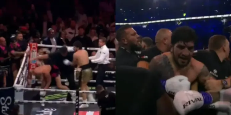 Dillon Danis Disqualified Boxing Brawl