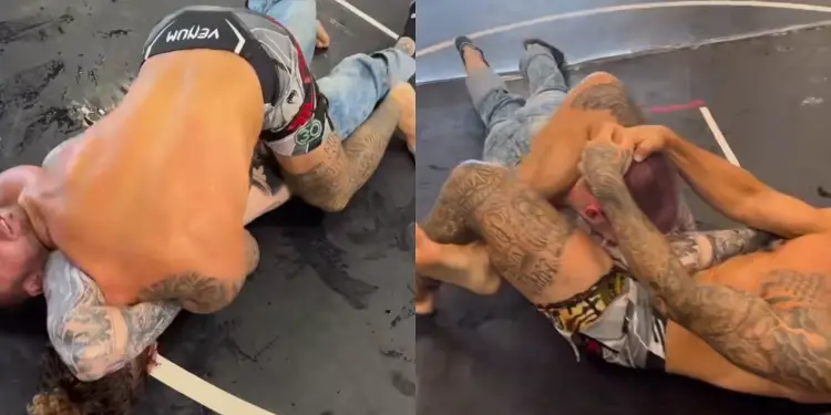 UFC Veteran Choke Out Knock Out Street Fighter