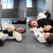 Roger Gracie Ffion Davies Rolling
