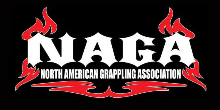 NAGA Equal Pay Male And Female Absolute Divisions