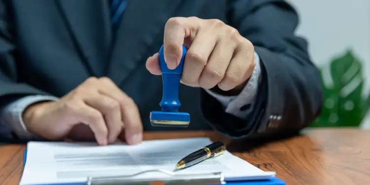 U.S. Visas For BJJ Athletes What You Need To Know About The O-1 And P-1