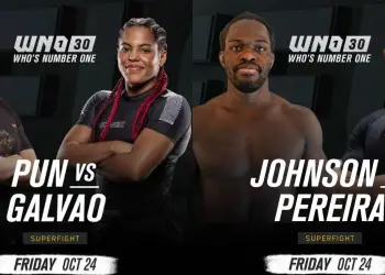 Who’s Number One 30 Card Superfights