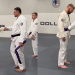 Bo Nickal BJJ Purple Belt